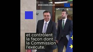 Le rôle dun député européen [upl. by Ssegrub]