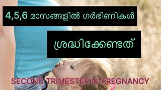 SECOND TRIMESTER IN PREGNANCY MALAYALAM ഗർഭിണികൾ ശ്രദ്ധേക്കേണ്ടത് എന്തൊക്കെ [upl. by Tarkany]