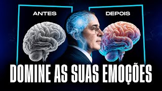 Inteligência Emocional DOMINE as SUAS EMOÇÔES em 19 MINUTOS  Paulo Vieira [upl. by Berneta500]