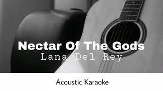 Lana Del Rey  Nectar Of The Gods Acoustic Karaoke [upl. by Ennovehs]