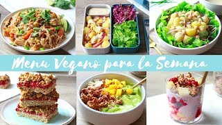 MENÚ VEGANO PARA LA SEMANA  EN VERANO [upl. by Hsu639]