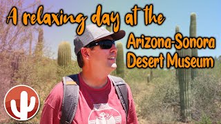 ArizonaSonora Desert Museum  Tucson AZ 2019 [upl. by Ylnevaeh]