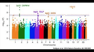 Understanding Manhattan Plots and Genomewide Association Studies [upl. by Nnairb906]