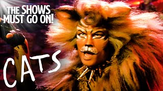 The Rum Tum Tugger John Partridge  Cats The Musical [upl. by Niryt813]