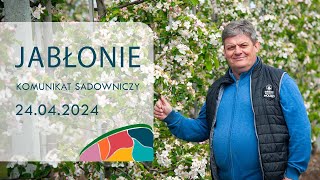 Komunikat sadowniczy Jabłonie  24042024  Zbigniew Marek [upl. by Eyllom96]