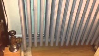 Loud banging steam radiator Sounds like Angry Monkeys [upl. by Ariaet]