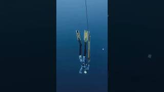 Speargun spearfishing fishing spearfish woodenspeargun spearow fish scubadiving spearolife [upl. by Aneelehs374]