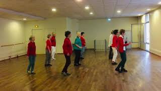 What A Song Can Do  Line Dance Demo [upl. by Bowerman]