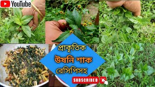 প্রাকৃতিক উষনি শাকগুণাগুণ ও বিস্তারিত।।Acmella oleracea।।Collecting and cooking natural vegetables [upl. by Decima]