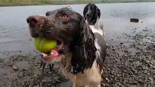 Playing at Bassenthwaite in the Lake District [upl. by Nylesoy]