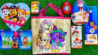 Unboxing Paw Patrol Toys  Mighty Pups  ASMR NO TALKING  ENJOY [upl. by Moe]