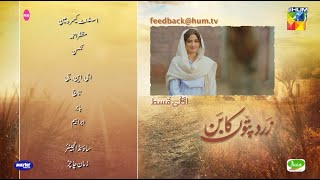 Zard Patton Ka Bunn  Episode 09 Teaser   Sajal Ali amp Hamza Sohail   HUM TV [upl. by Ahsille243]