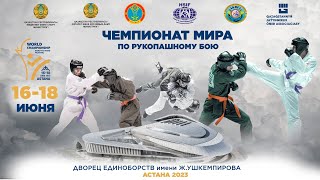 День 3 Финальные поединки Чемпионат мира по рукопашному бою среди мужчин и женщин 2023 [upl. by Hobart]