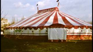 Circus Toni Boltini Mullens ABouglione Carre Pauwels MorenoZavattaPinder Gruss 1986 [upl. by Aihsetan]