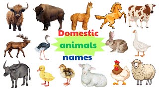 30 Domestic animals names In English  English Vocabulary [upl. by Hardigg]