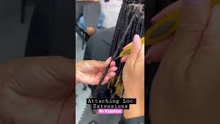 Attaching Loc Extensions to existing Locs ✨ locs locextensions [upl. by Olimac]