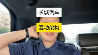 给长城工程师点时间，他们在用技术攻克解耦四驱的缺点 新能源领航计划【杜思聪游记】 [upl. by Yerd223]