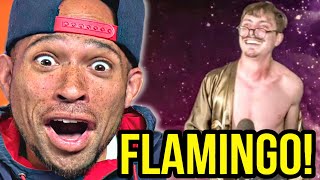 IM A FLAMINGO LIVE Marc Rebillet REACTION [upl. by Floyd]