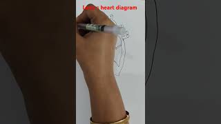 Labelled heart diagram shorts drawing diagram [upl. by Natan]