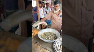 ৮৫০ টাকা নিলামে ১ বল ছোট চিংড়ি সাথে ১টি গজার মাছ Bangladesh fish market shorts [upl. by Sherl]