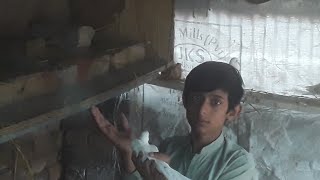 humne dove ke liye nesting box banaen [upl. by Paulo]