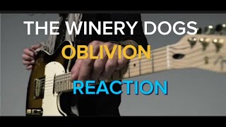 The Winery Dogs quotOblivionquot Official Music Video REACTION [upl. by Letniuq289]