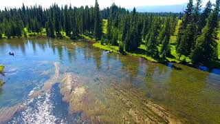 Henry Fork Snake River Drone Fly Away [upl. by Lemor]