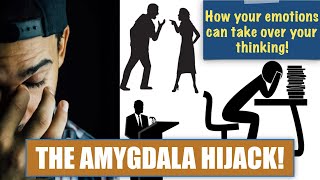 The Amygdala Hijack How our emotions hijack our thinking brain [upl. by Zennas277]