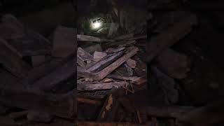 Abandoned incline shaftway mine mineexploration abandoned nature oldmines goldindustry [upl. by Ahsinwad]