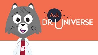 Ask Dr Universe [upl. by Briano]