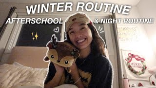 WINTER AFTERSCHOOL amp NIGHT ROUTINE  Vlogmas Day 6 [upl. by Kathryn]