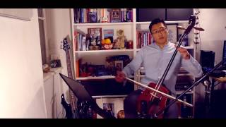 InceptionTime Hans Zimmer Horseheadfiddle loopcover by Jaavka [upl. by Curcio]