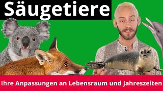 Säugetiere Anpassung an Lebensraum und Jahreszeit – Biologie  Duden Learnattack [upl. by Ardena]