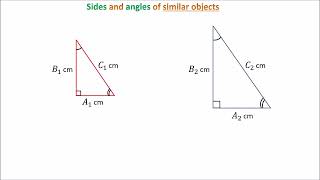 Grade 11 maths Similarity and congruence part 1 notes [upl. by Muhcan]