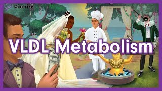 Lipid Metabolism and Lipid Transport USMLE Mnemonic VLDL IDL and LDL [upl. by Onirefez144]