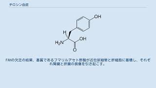 チロシン血症 [upl. by Rodl614]