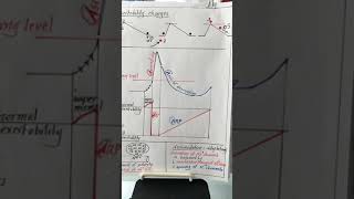 Nerve 3  10 Nov 2017   Excitability changes  Sub threshold stimulus [upl. by Lobiv]