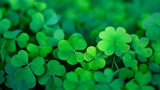 Happy Irish Music – Saint Patricks Day  Celtic Cheerful ☘️ [upl. by Ennagroeg607]