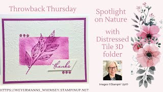 Spotlight on Nature from Stampin Up card idea 3 of 4 with Timeworn Type folder Ret [upl. by Nena]