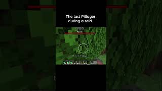 MF🤬 minecraft memes short humor minecraftmemes pilager [upl. by Yrailih]