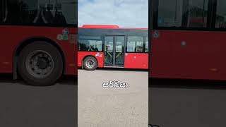 serbia bus connector 🇷🇸 shorts viral [upl. by Carew]