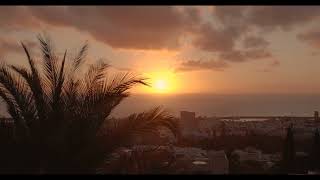 TENERIFE 5 STAR RESORT Costa Adeje Baobab Suites AMAZING Costa Adeje tenerife beaches costaadeje [upl. by Alemaj251]