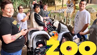 Reborn Baby Outing Day at the Zoo [upl. by Ynehteb]