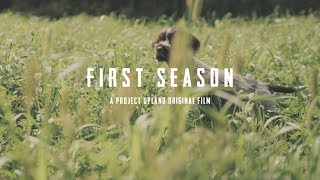 First Bird Hunting Season with a Dog  A Wirehaired Pointing Griffon Story [upl. by Eyssej]