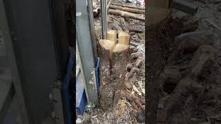 Holzspalten mit Binderberger H12 Holzspalter [upl. by Aed]