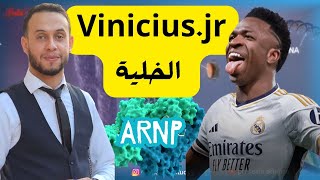 فينسيوس الخلية  vinicuis jr  انزيم ARNp بوليميراز [upl. by Hube]