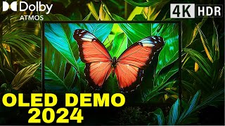 2024 OLED DEMO Dolby Atmos Breakthrough in NextGen TV Technology [upl. by Bess]