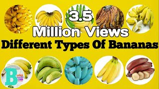 DIFFERENT TYPES OF BANANAS [upl. by Dionysus]