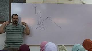 quot Neuro quot revisionquot  Dr Allam 2019  Lec 5 pt 3 [upl. by Eilitan]