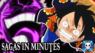 Dressrosa in MINUTES Part 3  Sagas In Minutes  Grand Line Review [upl. by Joelie168]